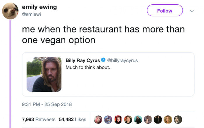 vegan tweet